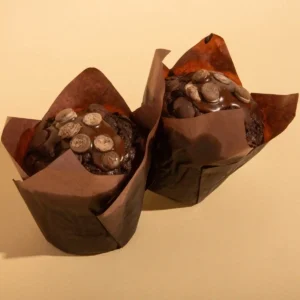 Double Chocolate Muffins